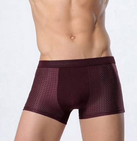 Derek – Herren Mesh-Boxershorts aus Eisseide