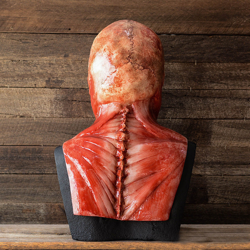 Halloween Latex Maske Schädel Anatomie – Gruselige Deko & Kostüm für Erwachsene